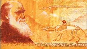 evolutionary Tall Tales