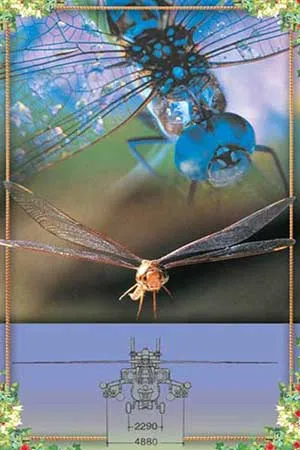 The flight system of the dragonfly, which is a wonder of design.inspired many scientists to make use of its workings in aeronautics.