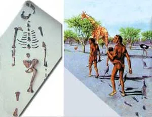 Lucy, from Ethiopia, is the most complete skeleton of Australopithecus discovered so far. By looking at some of these bones unearthed, evolutionists claimed tha