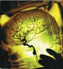 Materialist philosophers can never explain the source of human consciousness. In order not to accept the fact that there is a being beyond the material world, t
