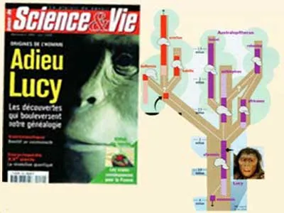 "GOODBYE, LUCY" Scientific discoveries have revealed evolutionist assumptions regarding "Lucy," once considered the most important example of the Australopithec