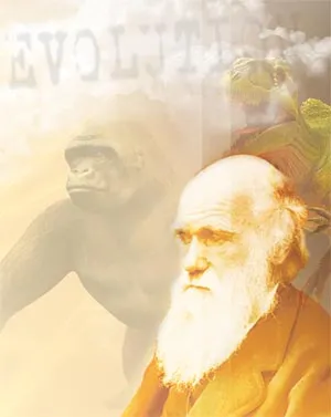 The theory of evolution is unable to account for the emergence of the first living cell, or even a single protein. The more than 350 million fossils unearthed t