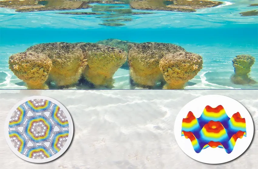 The picture above shows images of the hexagonal and symmetrical “S layer” in cyanobacteria from above and from the side.The theory of evolution has no meaningfu
