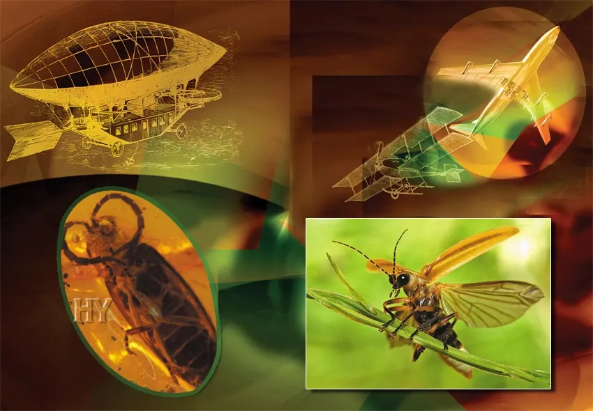 The above photograph of a fossil lightning bug provides countless scientific data dating back some 50 million years. We first see that the insect’s antennae, le