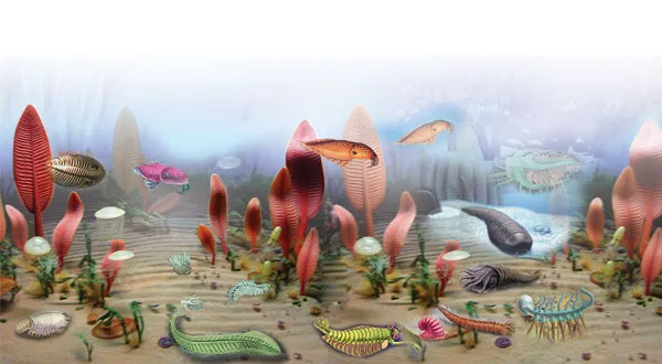 An astonishing variety of life appeared in the Cambrian Period, in all its complete and perfect states.