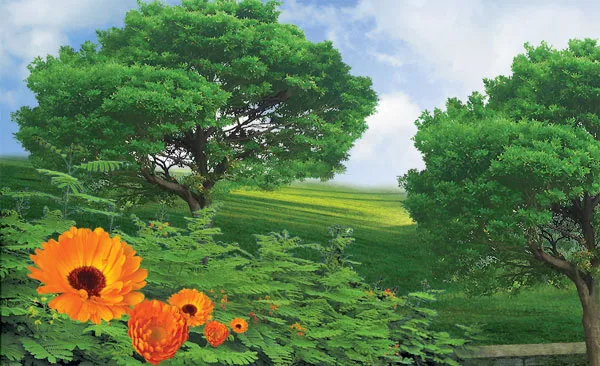 The Kingdom of the heavens and the Earth and everything in them belongs to Allah. He has power over all things.(Surat al-Maida, 120)