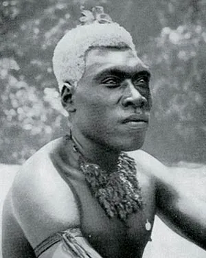 The large eyebrow protrusions on Homo erectus skulls, and features such as the backward-sloping forehead, can be seen in a number of races in our own day, as in