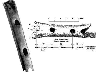 Neanderthal Flute A Neanderthal flute made from bone. Calculations made from this artifact have shown that the holes were made to produce correct notes, in othe