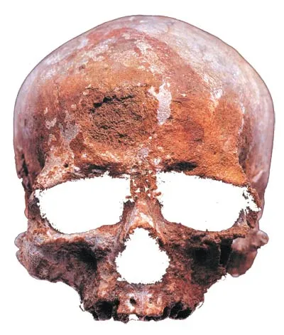 A typical Cro-magnon skull.