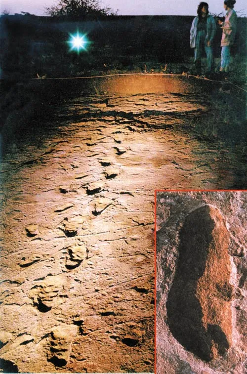 3.6-million-year-old human footprints in Laetoli, in Tanzania.