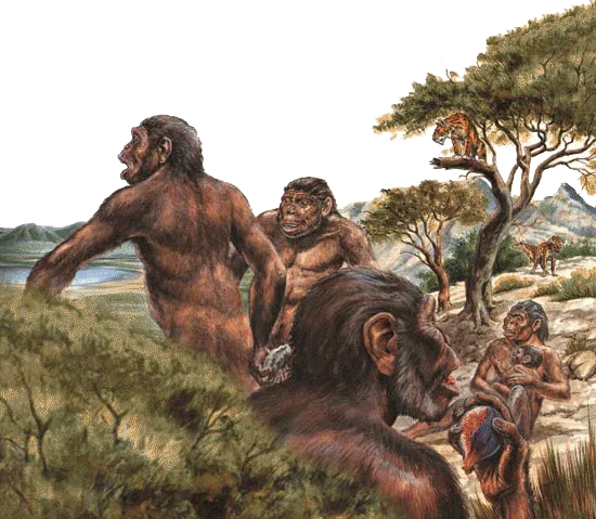 Reconstruction drawings reflect only evolutionists' imaginations, not scientific discoveries.