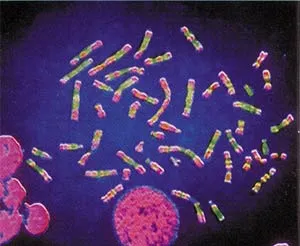 DNA