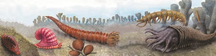 This illustration portrays living things with complex structures from the Cambrian Age. The emergence of such different creatures with no preceding ancestors co