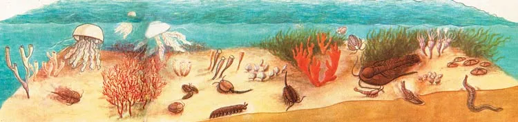 Another illustration showing living things from the Cambrian Age.