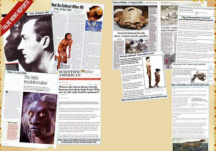 Newspaper