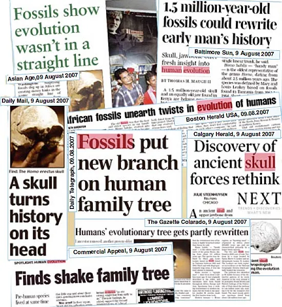 Fossils