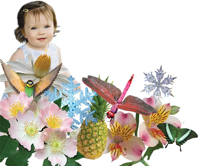 In terms of their complexity, sensitivity, symmetry, order, details, equipment and systems, living things are literally works of art. These works of art indicat