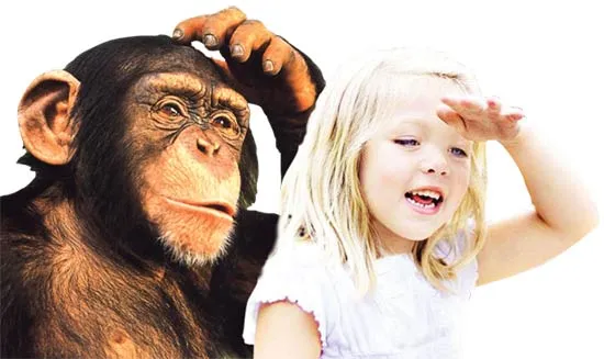 It is the “soul” that makes a living thing human, not its external appearance. Darwinists seek to cover that fact up. Yet the fact that human beings possess a s