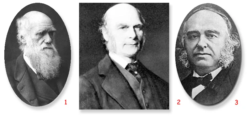 Charles Darwin Francis Galton Paul Broca Francis Galton, Charles Darwin's cousin, was influenced by Darwin and the French physicist Paul Broca, himself another 