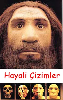 hayali çizim, evrim, yaratılış