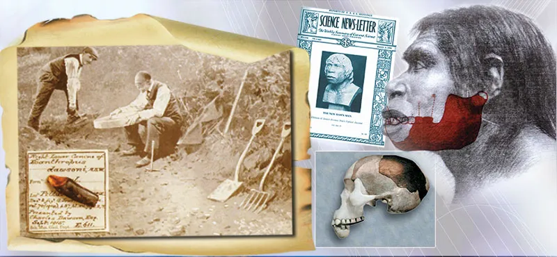 THE PILTDOWN MAN HOAX Piltdown Man, portrayed for 43 years as highly significant evidence confirming evolution, turned out to be a hoax. In 1953, investigations