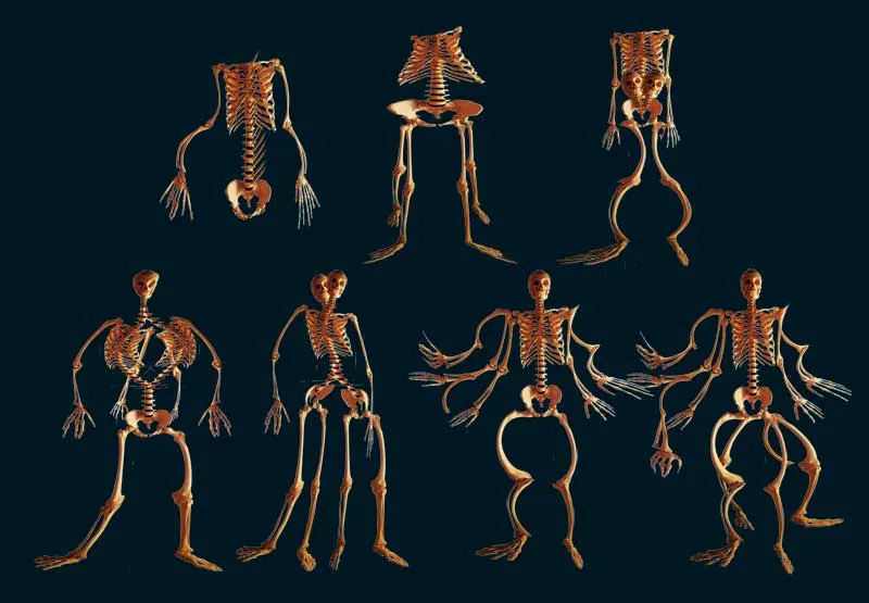 hayali çizim, ara form