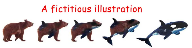 "Intermediate forms," which allegedly bore the features of two different species, never existed at any time.