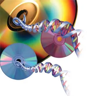 cd