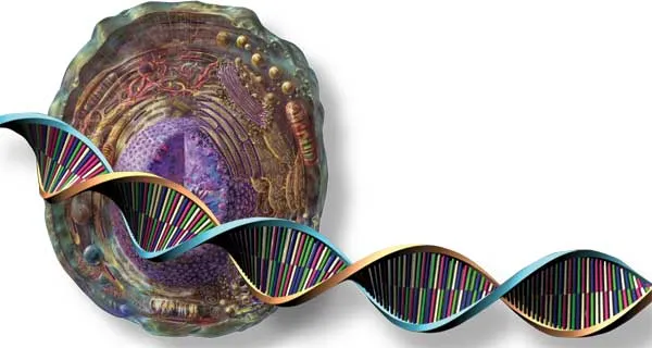 It is possible to speak of DNA's existence only when the cell is present in fully complete form, with all its organelles.