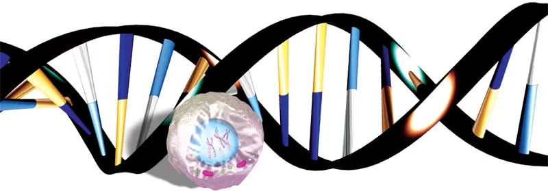 dna