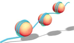 histone