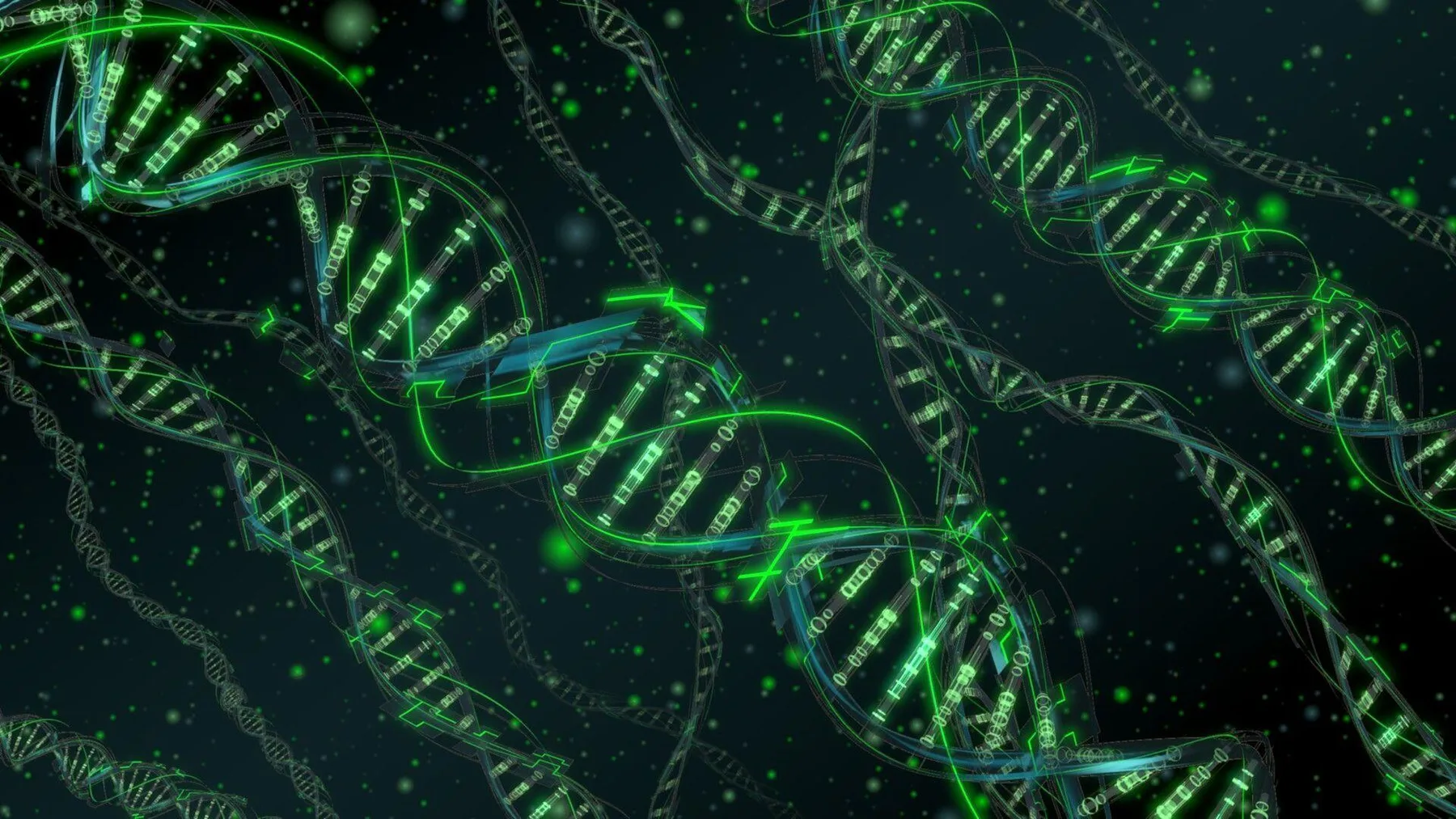 DNA helices — digital illustration
