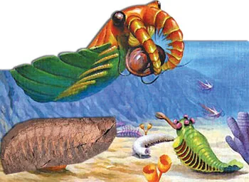 The complex equipment possessed by the Cambrian life forms also shows that they were predators.