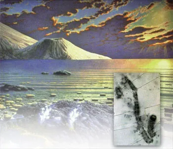 Darwinists maintain that supposedly, the ancestors of Cambrian life forms left no traces behind because they were soft-tissued. Yet the earliest fossils of bact