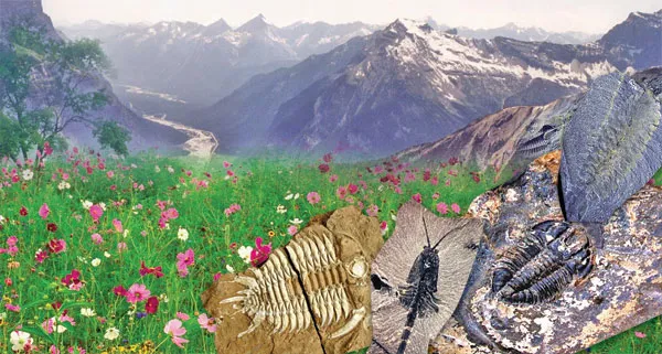 Canadian Rockies