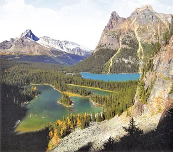 Canada’s Burgess Shale contains countless Cambrian fossils.