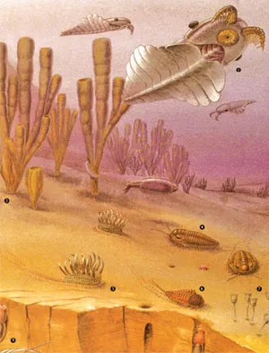 In just 35 million years, the blinking of an eye for evolution, animal life erupted in an explosion of inventiveness that far outshines anything the planet has
