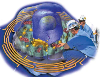 Every cell we possess has complex mechanisms that go far beyond the productive capacities of human engineers. Cambrian organisms were also complex, consisting o