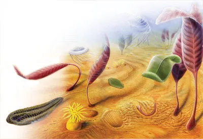 No evolution took place in the pre-Cambrian period, nor in the eras that came after it, and fossils prove this in the clearest possible way. Abundant fossils sh