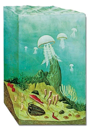 A time 1.2 billion years before our own, when single-celled organisms with a single nucleus dominated the Earth... Towards the beginning of the Cambrian Period,