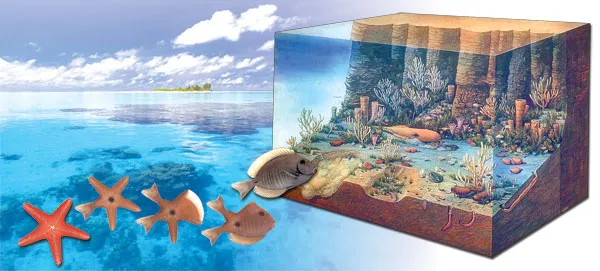 According to Darwin, all living things are descended from one another. Therefore, various intermediate species must have existed during this imaginary process o