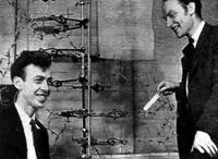 Watson and Crick with a stick model of the DNA molecule.
