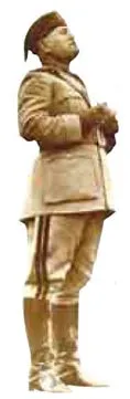darwin