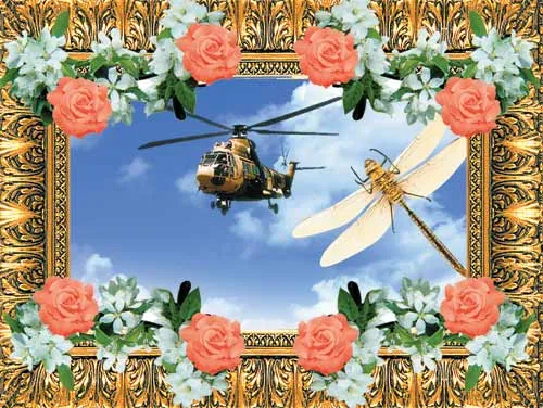Leading helicopter manufacturers have produced functional models by replicating the dragonfly's superior wing structure and maneuvering abilities.
