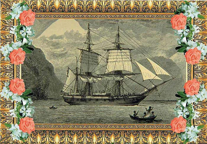 The discovery ship H.M.S. Beagle.