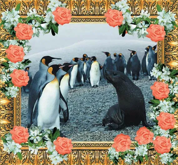 penguins