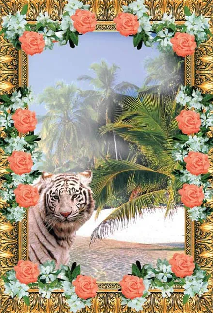 tiger
