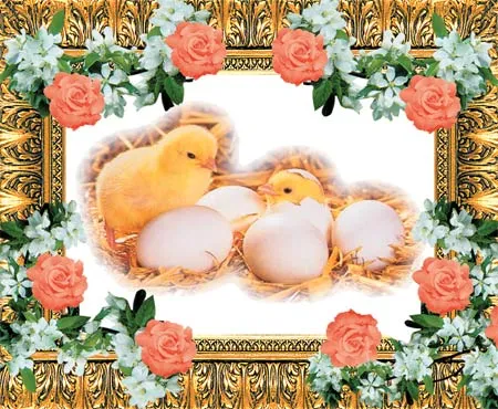 chick