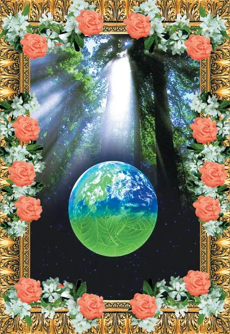 Tropical rainforests are often calied "the lungs of the world" because during photosynthesis, their countless plants absorb carbon dioxide and release oxygen.Sa