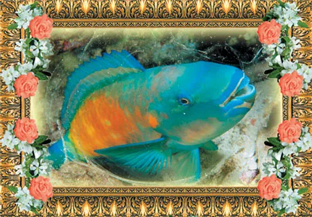 Parrot fish camouflage themselves at night by encasing their entire bodies with a gelatinous substance.